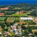 Markulin, Šišan