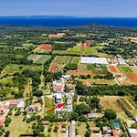 Markulin, Šišan