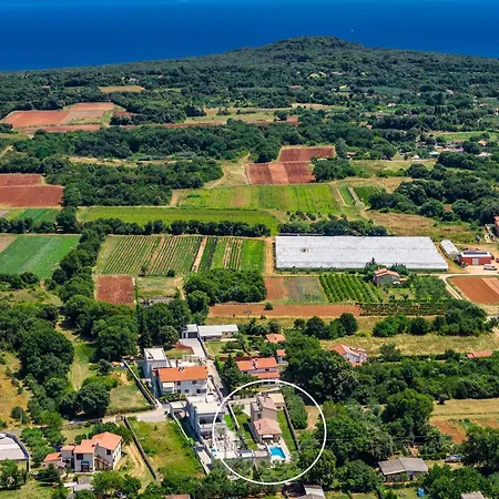 Markulin, Šišan